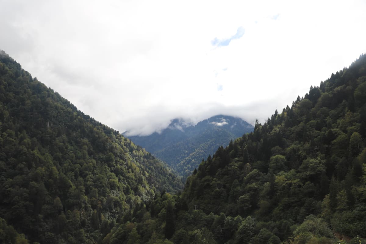 Batı Karadeniz'de Gezilecek Yerler: Bolu'dan Sinop'a