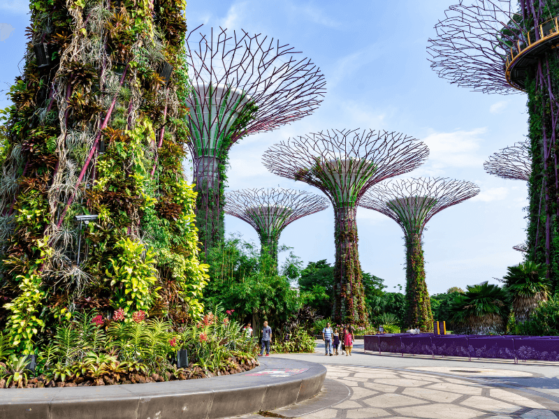 singapur vizesiz gidilebilecek ülkeler