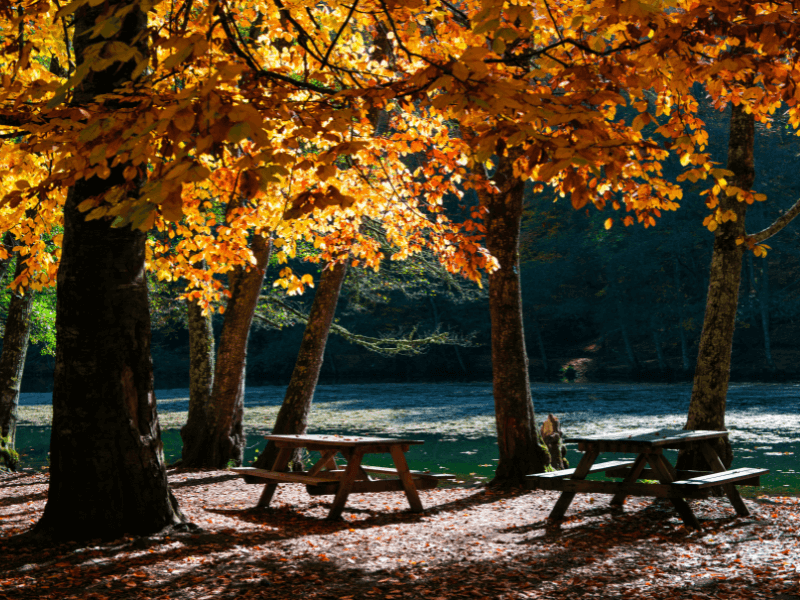 Abant ve Yedigöller_ Doğa İçinde Romantik Bir Yürüyüş