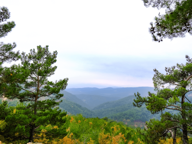 Kazdağları_ Doğa ile İç İçe Sessiz Bir Kaçış