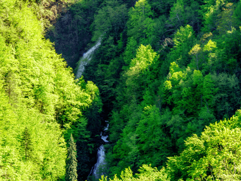 Ulukaya Şelalesi (Bartın) 