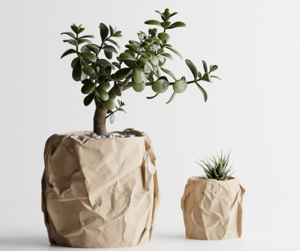 Dekoratif saksı – Cozi Pots